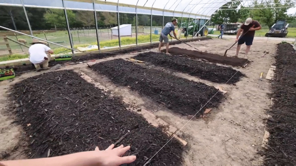 How to Start a No-Dig Garden for Better Soil Health
